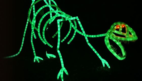 Представление световых кукол. Театр Николая Зыкова (Москва), Северобайкальск